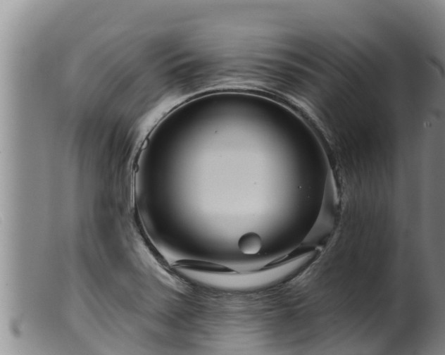 X0000099541371200805231116