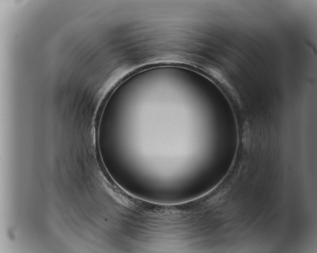 X0000099541372200805231116