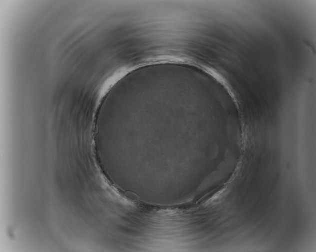 X0000099541373200805231116