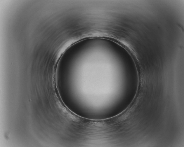 X0000099541374200805231116