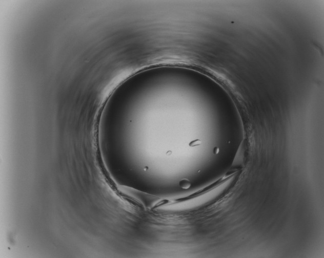 X0000099541375200805231116