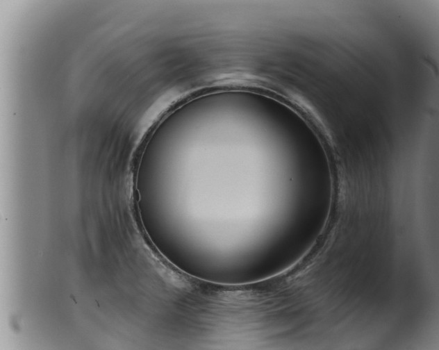 X0000099541376200805231116