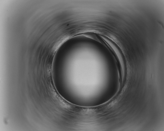 X0000099541377200805231116