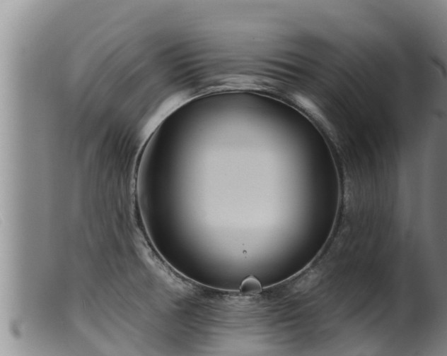 X0000099541378200805231116