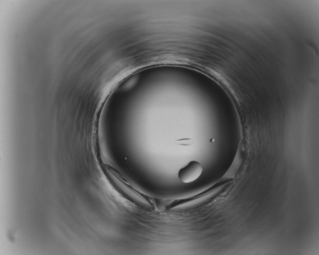 X0000099541379200805231116