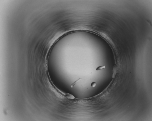 X0000099541380200805231116