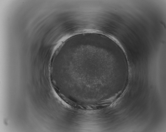 X0000099541381200805231116