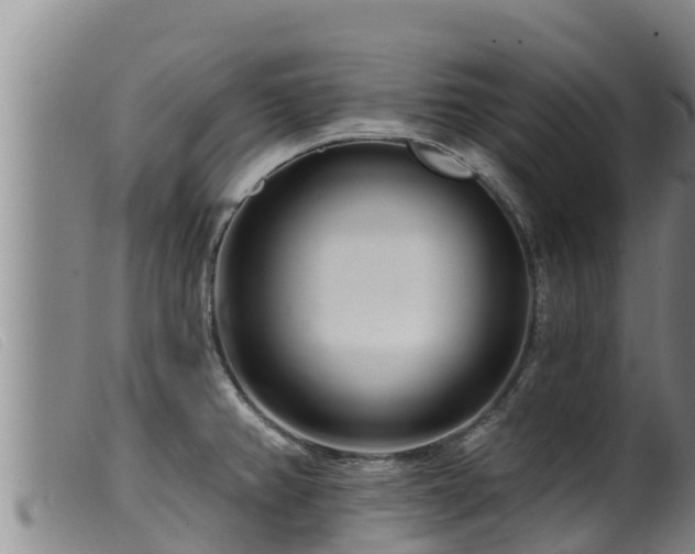 X0000099541382200805231116