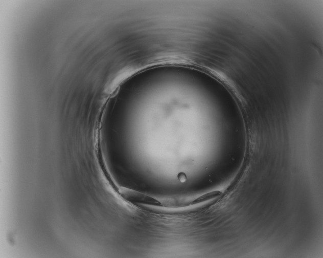 X0000099541383200805231116