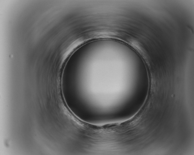 X0000099541384200805231116