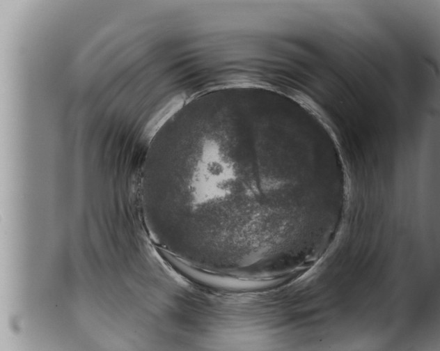 X0000099541385200805231116