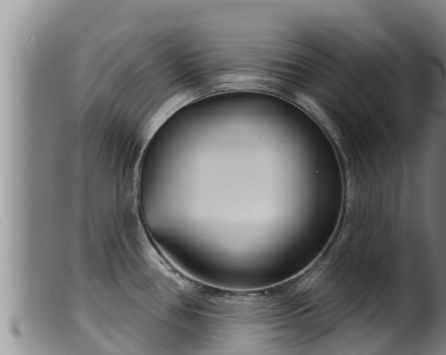 X0000099541386200805231116