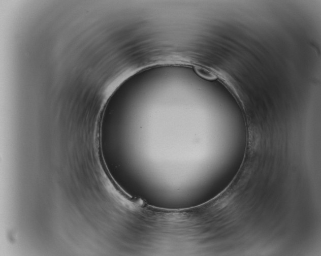 X0000099541387200805231116