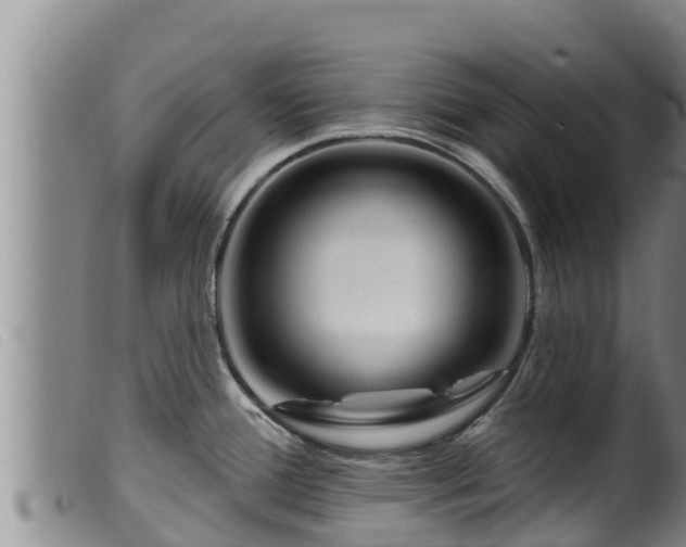 X0000099541388200805231116