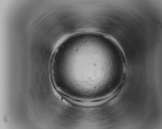 X0000099541389200805231116