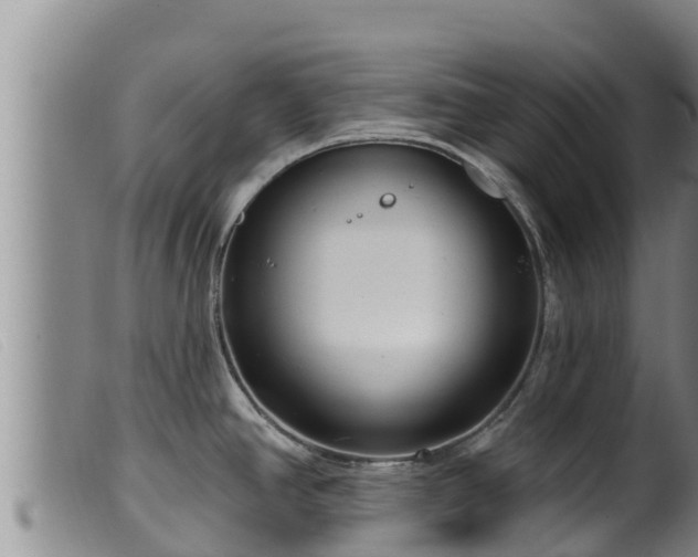 X0000099541390200805231116