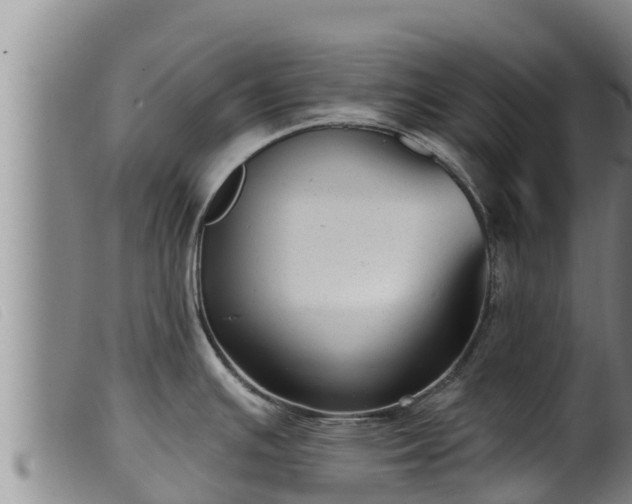 X0000099541391200805231116