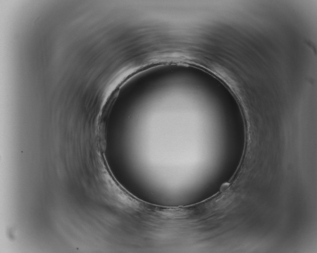 X0000099541392200805231116