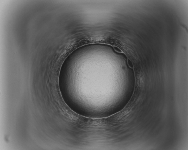 X0000099541393200805231115