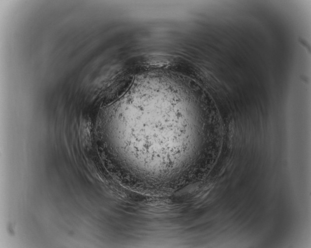 X0000099541394200805231115