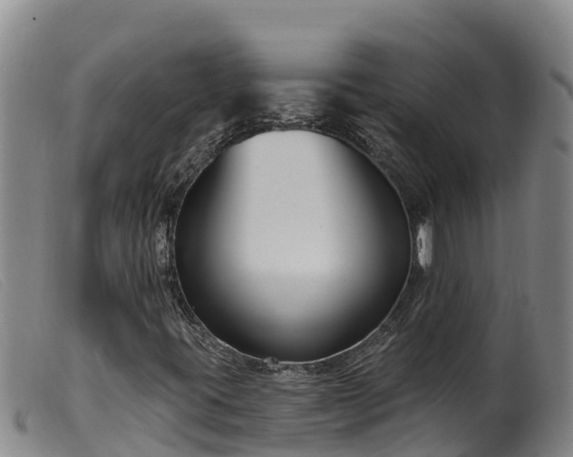 X0000099541395200805231115