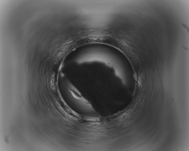 X0000099541396200805231115