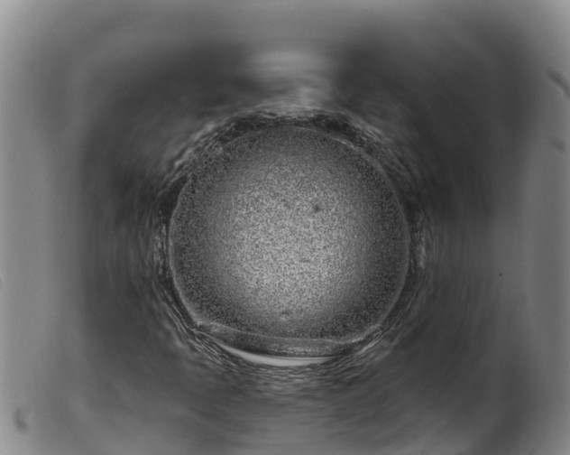 X0000099541397200805231115