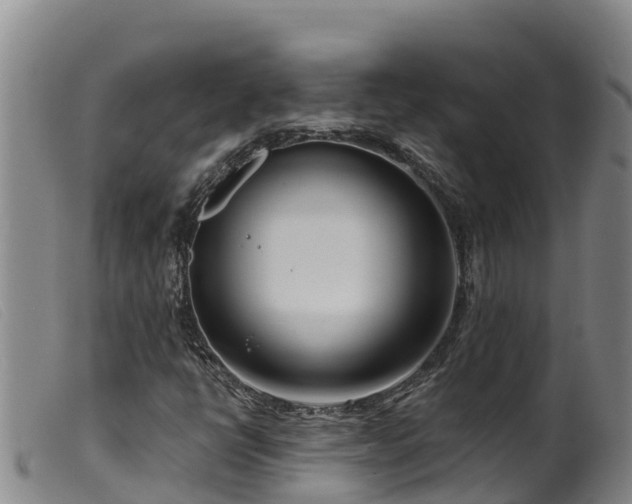 X0000099541398200805231115