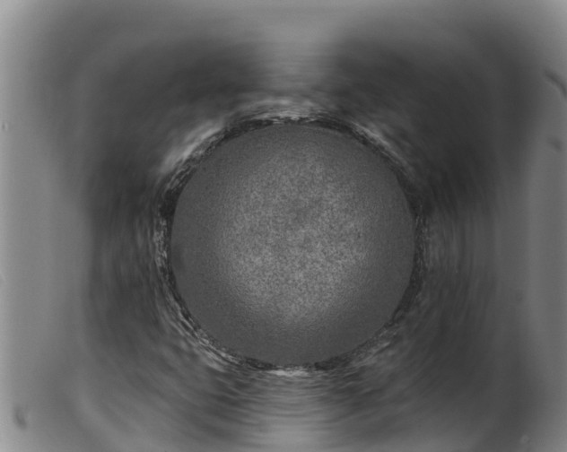 X0000099541399200805231115