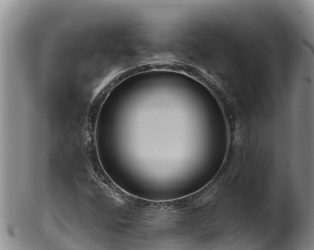 X0000099541400200805231115