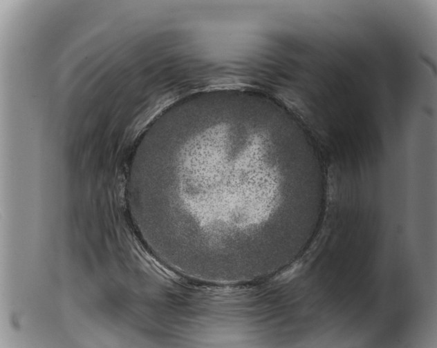 X0000099541401200805231115