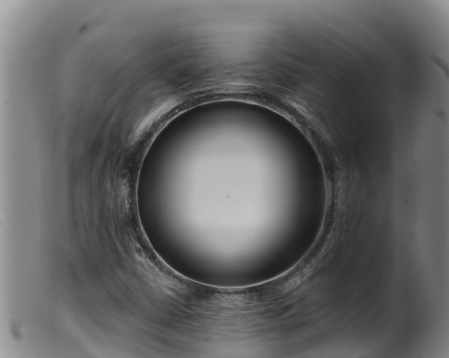 X0000099541402200805231115