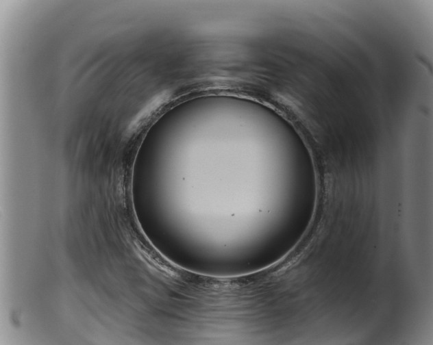 X0000099541403200805231115