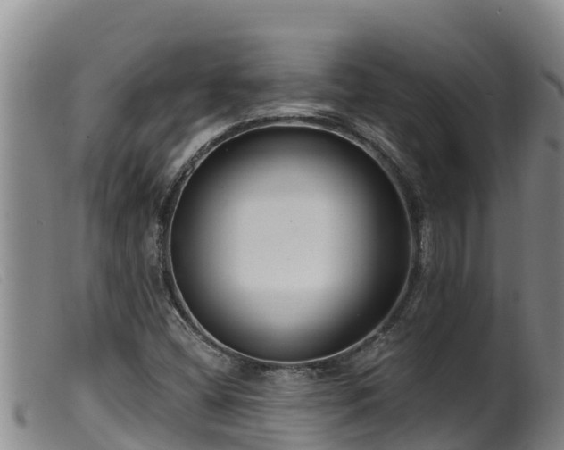 X0000099541404200805231115