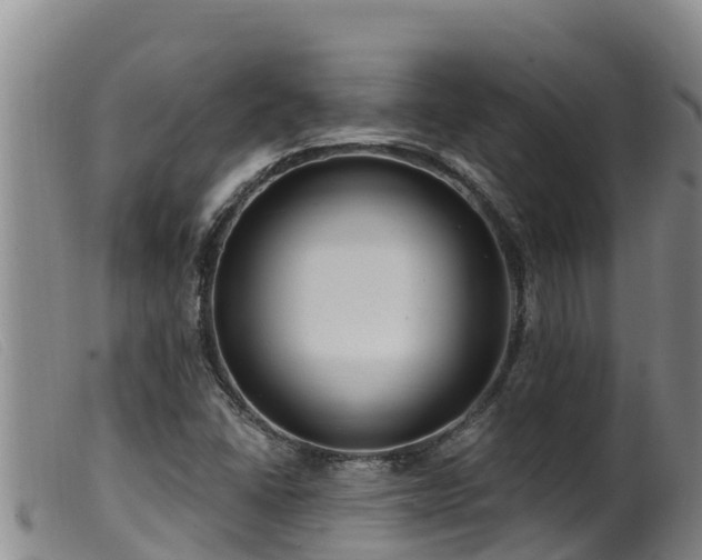 X0000099541406200805231115