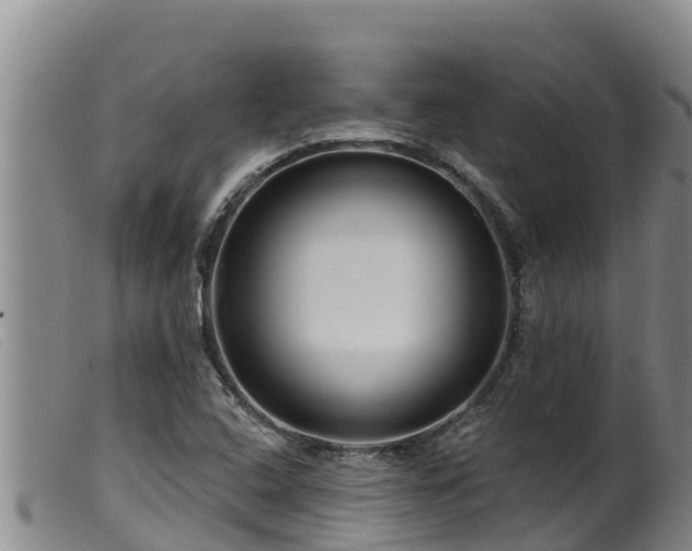 X0000099541408200805231115