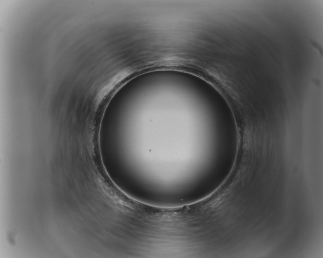 X0000099541410200805231115