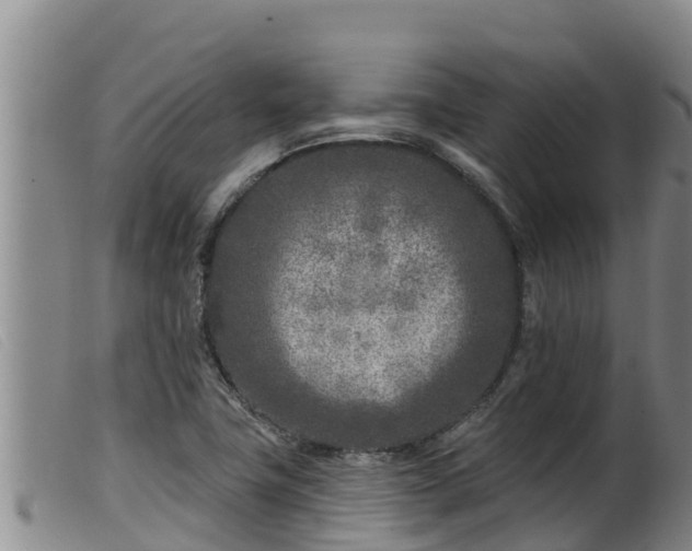 X0000099541411200805231115