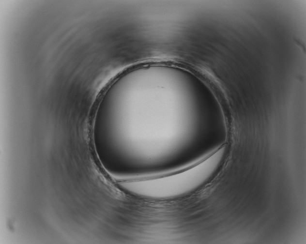 X0000099541412200805231115