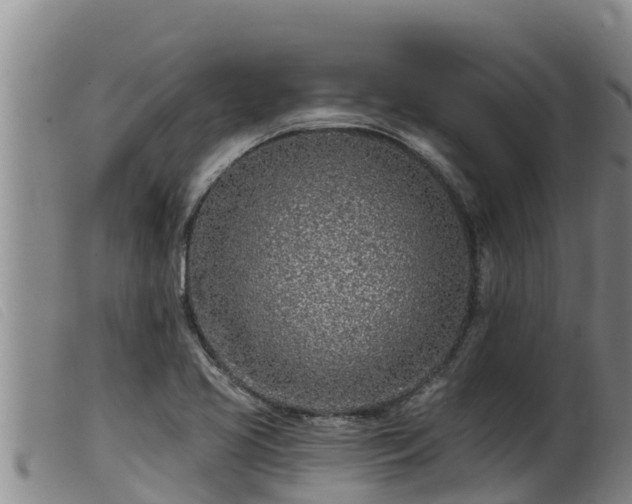 X0000099541413200805231115