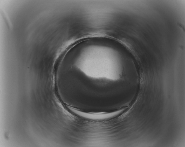 X0000099541414200805231115