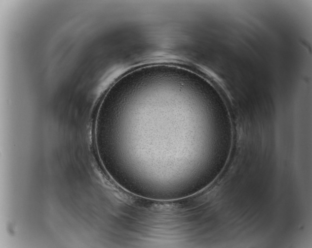 X0000099541415200805231115