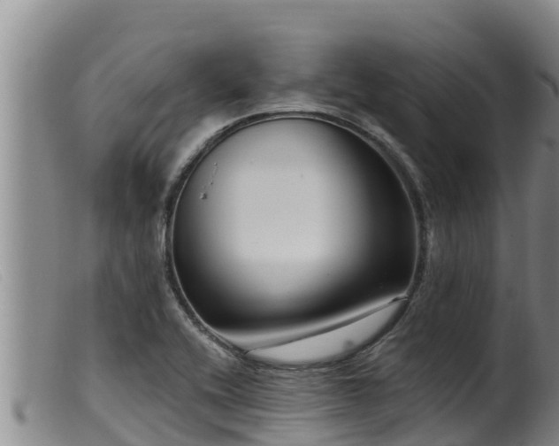 X0000099541416200805231115