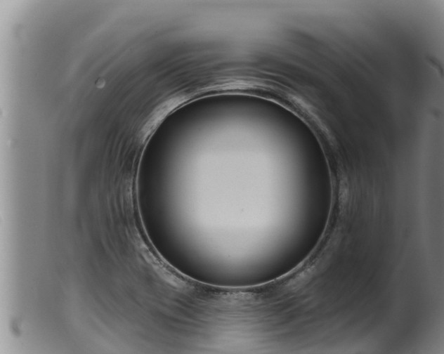 X0000099541417200805231115