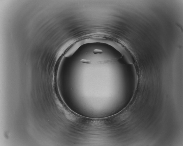 X0000099541418200805231115