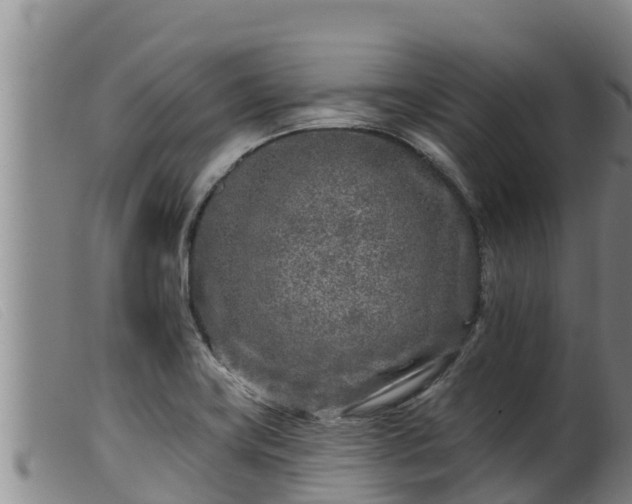 X0000099541419200805231115