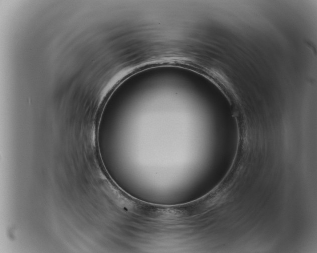 X0000099541420200805231115