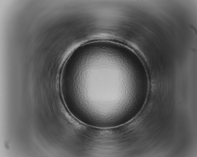 X0000099541421200805231115