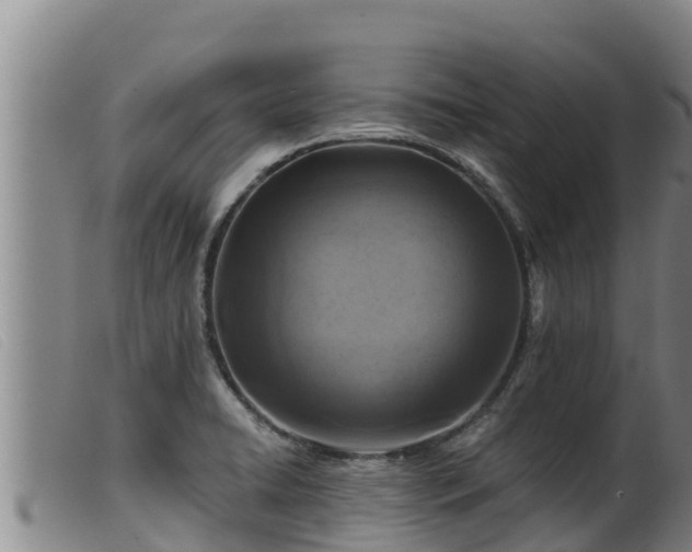 X0000099541422200805231115