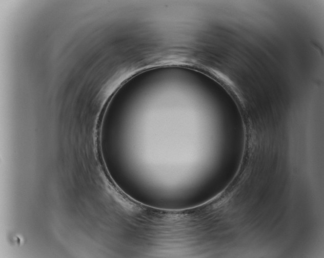 X0000099541423200805231115